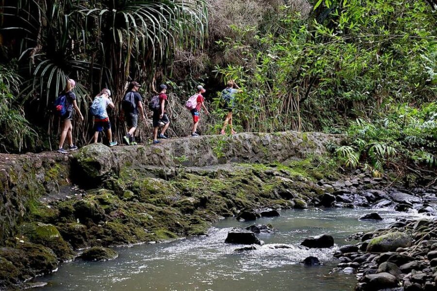 South Maui: Waterfall Tour w/ Kayak, Snorkel, and Hike - Is It Worth the Cost?