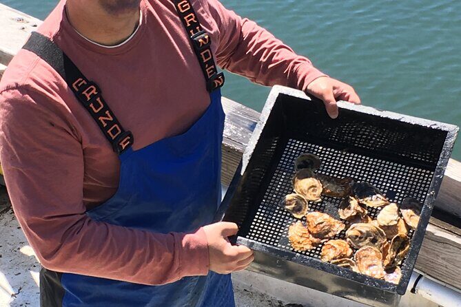Southold Bay Oyster Farm Tour - Why This Tour Offers Great Value