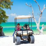 Split Cruise To Bimini & Free Transportation! - Who Is This Tour Best For?