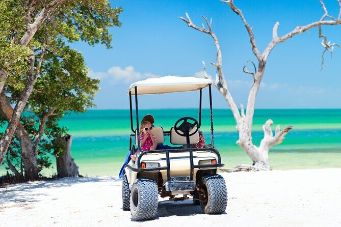 Split Cruise To Bimini & Free Transportation! - Who Is This Tour Best For?