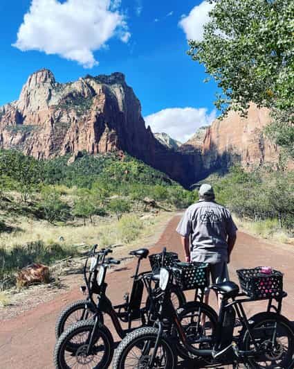 Springdale: Guided eBike Tour in Zion National Park - Who Should Consider This Tour?