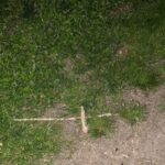 St. Augustine: Devil's Hour Paranormal Investigation Tour - Authentic Insights from Reviewers
