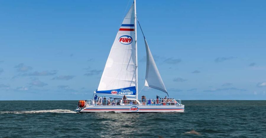 St. Augustine: Dolphin Watching Harbor Tour with Drinks - Who Should Consider This Tour?