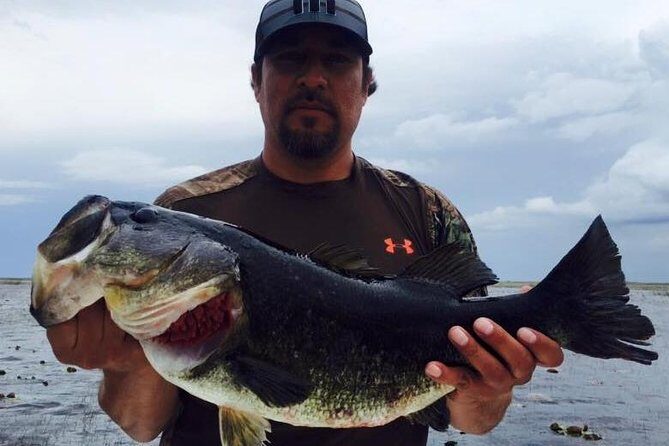 St Johns River Fishing Trip near Daytona - What to Expect on the Water