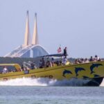 St. Pete Beach: Dolphin Racer Cruise by Speedboat - The Itinerary: What to Expect on the Dolphin Racer Cruise
