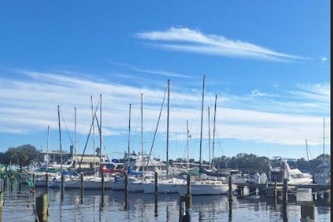 St Pete Sip & Dine- a Walking/Culinary Tour (age 21+) - The Value of the Experience