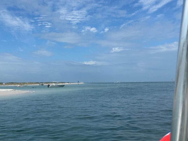St. Petersburg, FL: 3 Hour Eco Tour with Island Hopping - Why Is This Tour a Great Choice?