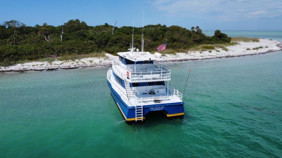 St. Petersburg, FL: 4-Hour Catamaran Cruise to Egmont Key - The Experience in Detail: What to Expect from Start to Finish