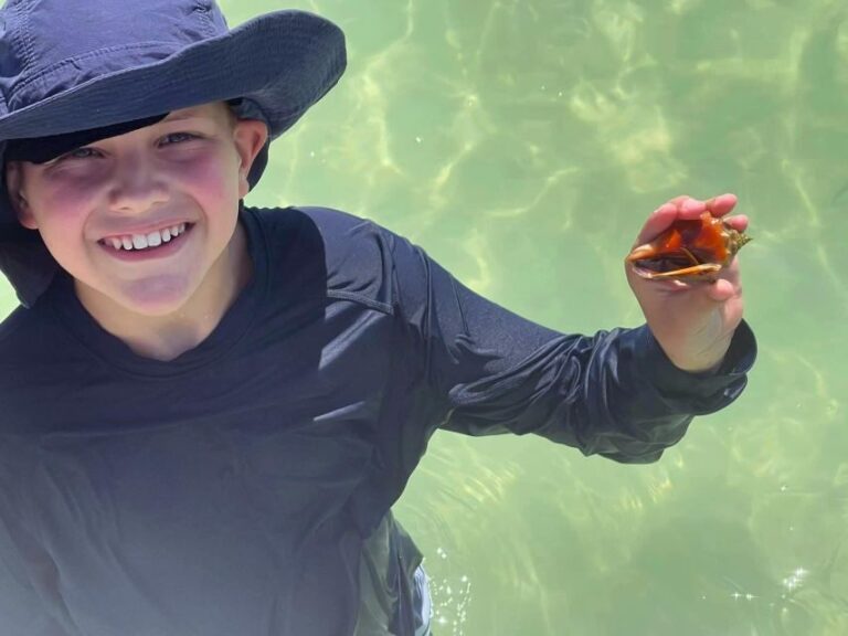 St. Petersburg, FL: 4-Hour Private Beach Tour - Diving into the Details: What to Expect from the Tour