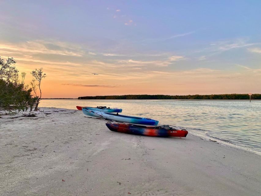 St. Petersburg, FL: Weedon Island Kayak Tour - Final Thoughts