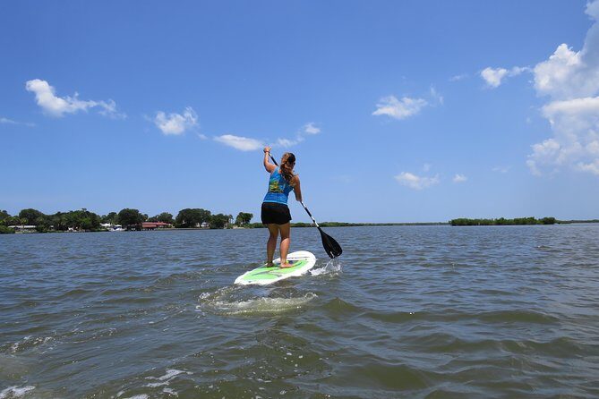 Stand Up Paddle Board Rental in Rose Bay - Final Thoughts: Is It Worth It?