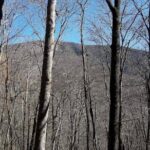 Standing Indian Mountain Hike plus Wine Tasting - What’s Included and What’s Not