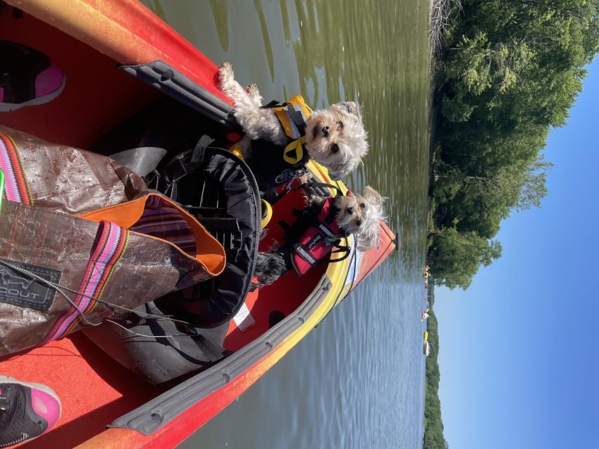 Starved Rock State Park: Guided Kayaking Tour - The Itinerary in Detail