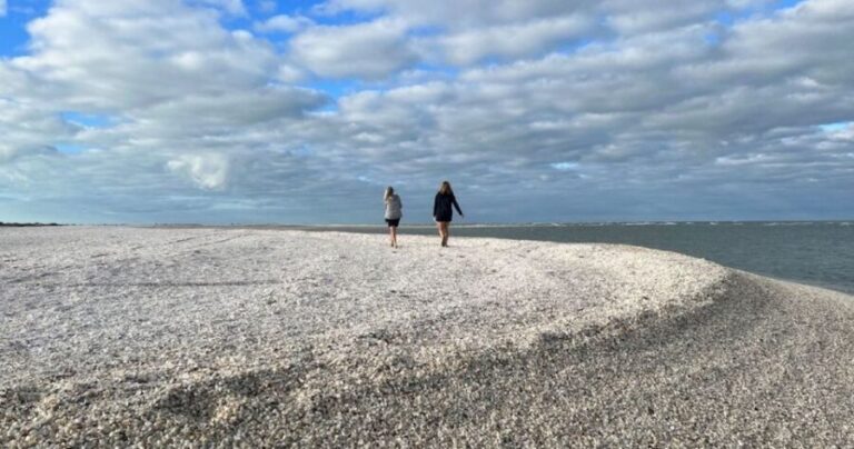 Sunrise and Shine 10,000 Islands Shelling Tour - Who Would Love This Tour?