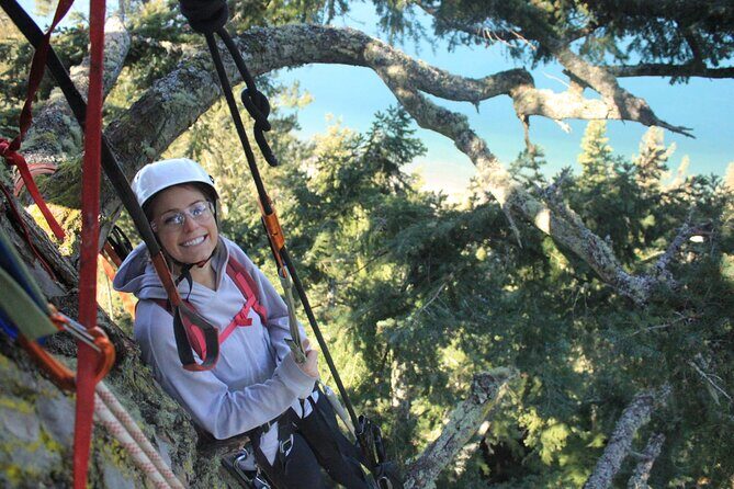 Sunset Canopy Climb on Lopez Island - Authentic Insights from Reviews
