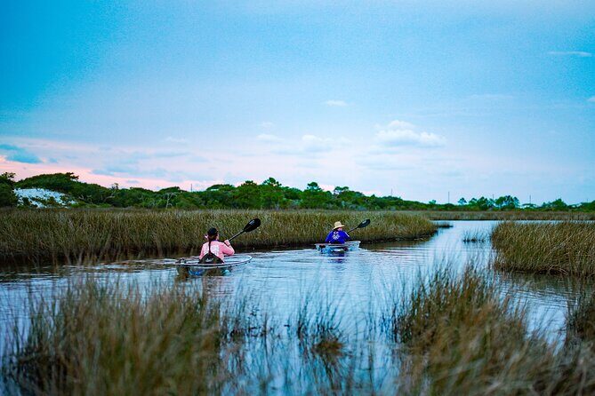 Sunset Clear Kayak Tour Destin Ft. Walton Beach - Real Experiences & Honest Feedback