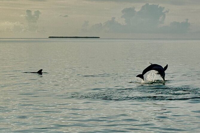 Sunset Powerboat Cruise - The Itinerary and Experience in Detail