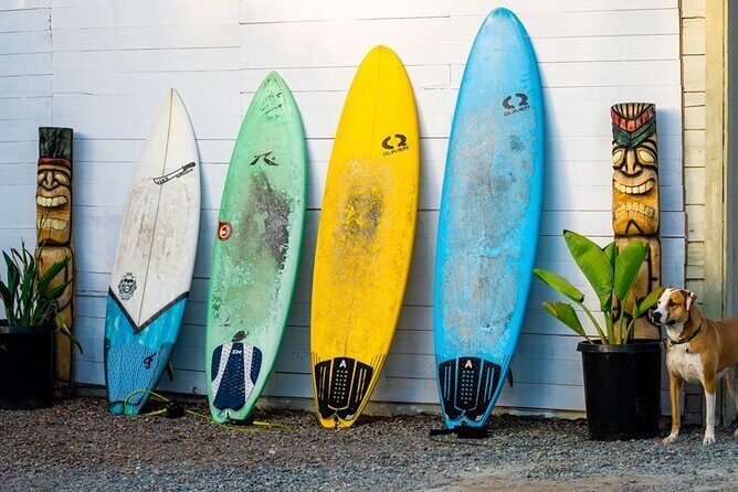 Surfboard Rental All Day Solana Beach Fletchers Cove - Is This Experience Worth It?