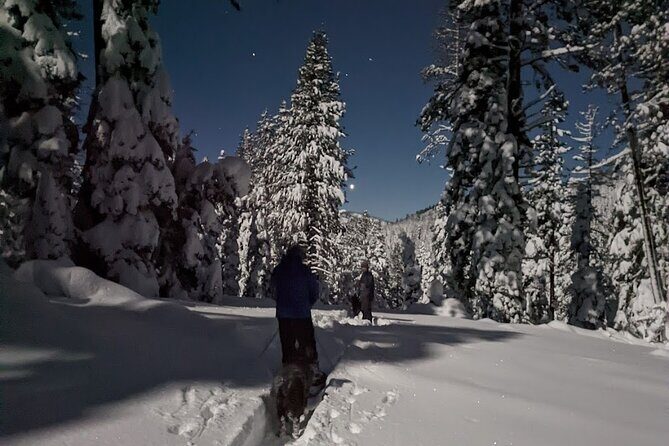 Tahoe National Forest Moonlight Snowshoe Tour Under a Starry Sky - Final Thoughts