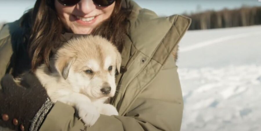 Talkeetna: Alaskan Winter Dog Sledding Experience - The Practicalities: How It Works