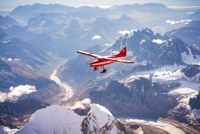 Talkeetna: Denali Flight Tour with Glacier Landing - The Value and Practical Aspects