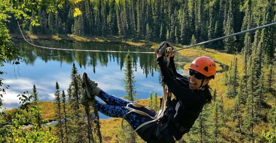 Talkeetna: Denali Zipline Tours - The Scenic and Educational Aspects
