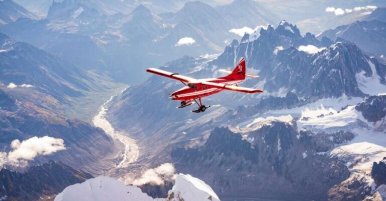 Talkeetna: Guided Tour of Denali National Park By Air - The Experience Itself