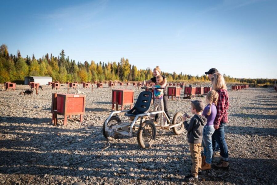 Talkeetna: Mushing Experience with Iditarod Champion Dogs - The Real Value: Is It Worth the Price?