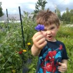 Talkeetna: The Reindeer Grove Homestead Tour and Forage - Practical Details and Value