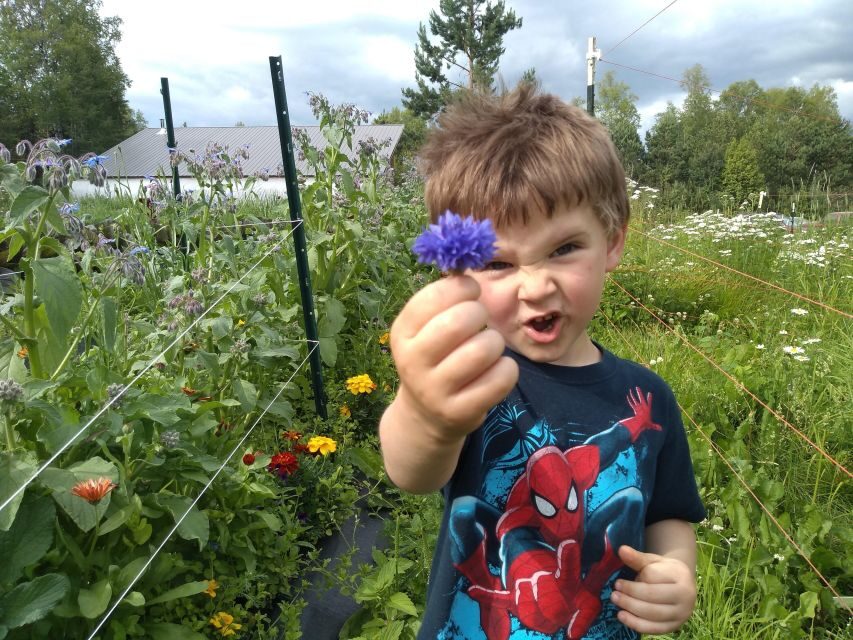 Talkeetna: The Reindeer Grove Homestead Tour and Forage - Practical Details and Value