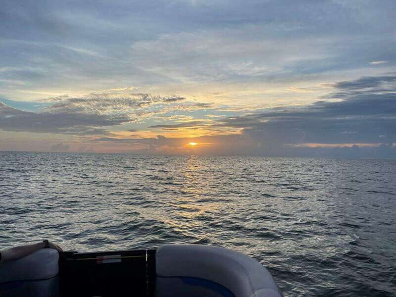 Tampa Bay: Sunset Cruise with Celebrity Homes and Wildlife - The Highlights