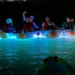 Tampa: Clear Glowing Kayak Nighttime Tour - The Itinerary in Detail