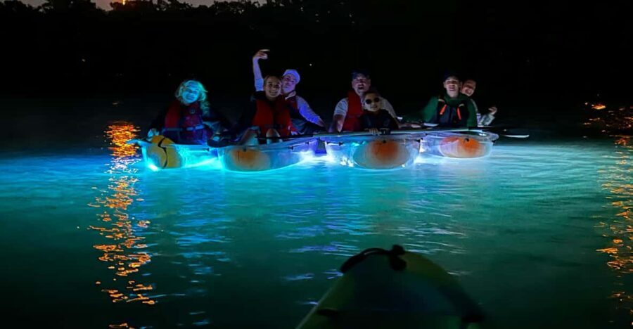 Tampa: Clear Glowing Kayak Nighttime Tour - The Itinerary in Detail