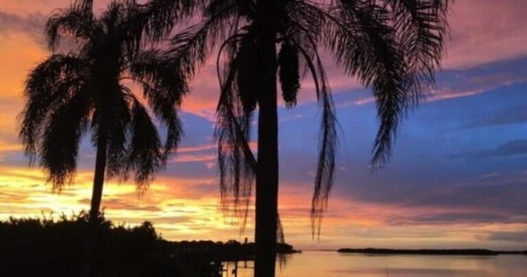 Tampa: Hillsborough River Evening Boat Tour Up to 13 people - Practical Details You Should Know