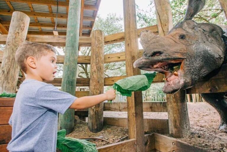 Tampa: ZooTampa at Lowry Park Entry Ticket - Who Should Consider This Experience?