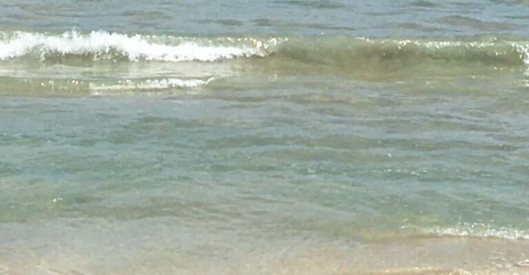 Tanoa Waterfront Hotel to Natadola Beach Round Trip - What to Pack and Tips for Your Day