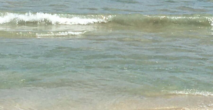 Tanoa Waterfront Hotel to Natadola Beach Round Trip - What to Pack and Tips for Your Day