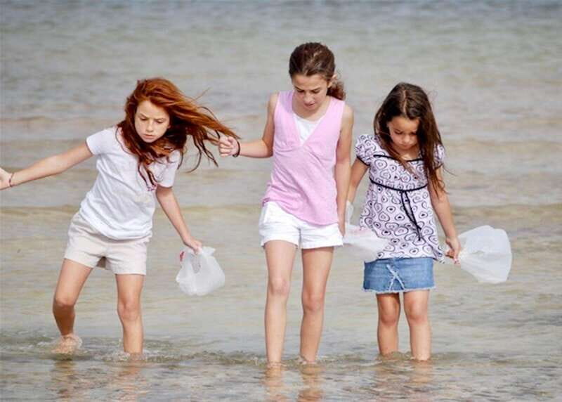 Tarpon Springs: Evening Dolphin Cruise - Who Will Love This Tour?