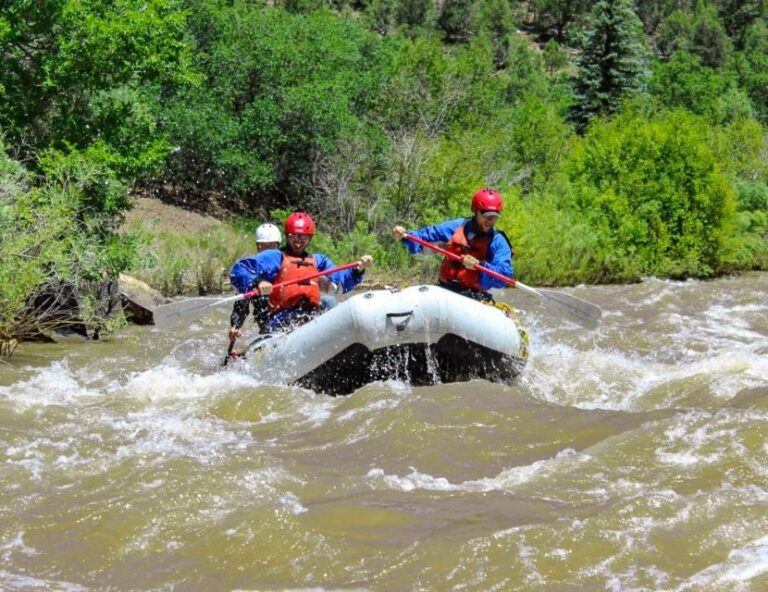 Telluride Afternoon Half Day Rafting Trip - San Miguel River - Who Should Consider This Trip?