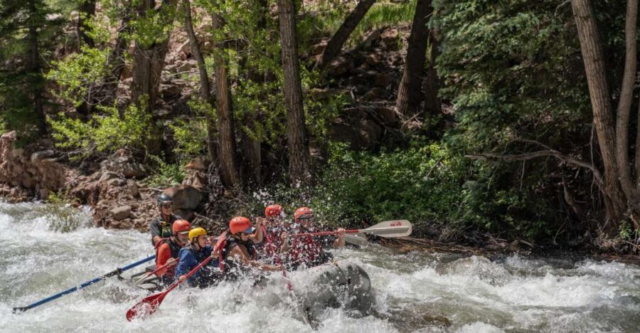 Telluride Morning Half Day Rafting Trip - San Miguel River - Practical Details and Considerations