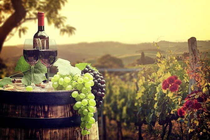 Temecula Wine Country Tour from San Diego - Who Is This Tour Best For?