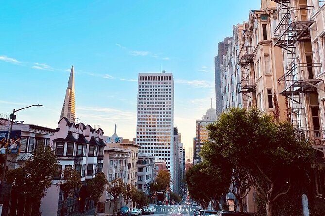 The Best of San Francisco: Private Half-Day Walking Tour - Practical Tips for Booking and Enjoyment
