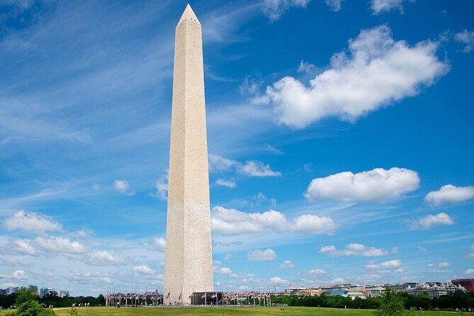 The Best of Washington DC: Private Full-Day Walking Tour - Practical Details and Considerations
