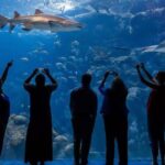 The Florida Aquarium Ticket - What to Expect During Your Visit
