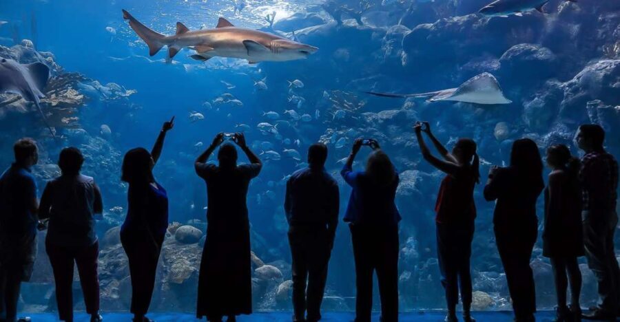 The Florida Aquarium Ticket - What to Expect During Your Visit
