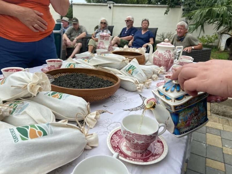 The Green Gold of Georgia - Exploring the Tea Heritage of Georgia