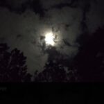The Last Stop Private Paranormal Investigation up to 5 people! - Authentic Guest Perspectives