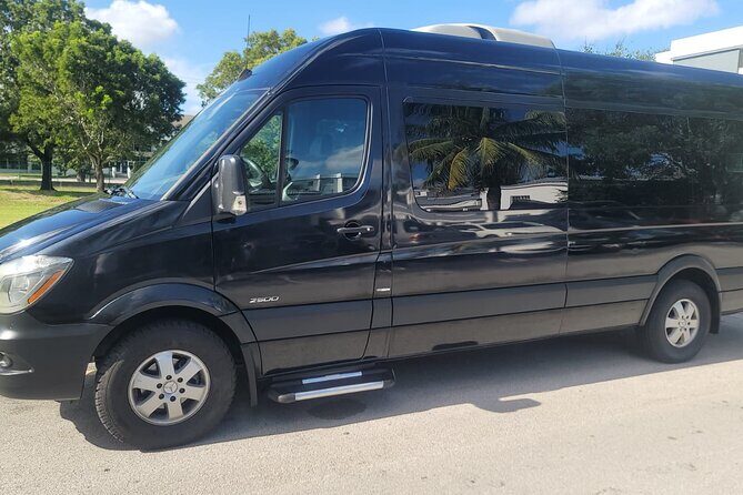 The Life Tours - Who Is This Service Best For?