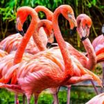 The Miami Sightseeing Day Pass: 35+ Sun-Soaked Attractions & Tours - Practical Insights and Considerations