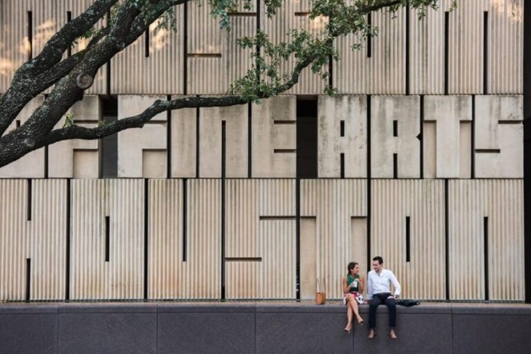 The Museum of Fine Arts, Houston Entry Ticket - The Sum Up